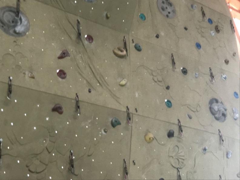 Image 1 - Palestra d'arrampicata - Polisport Olivone