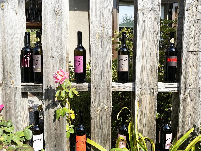 Image 13 - Cave vinicole Settemaggio	