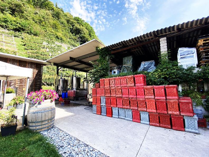 Image 10 - Cave vinicole Settemaggio	