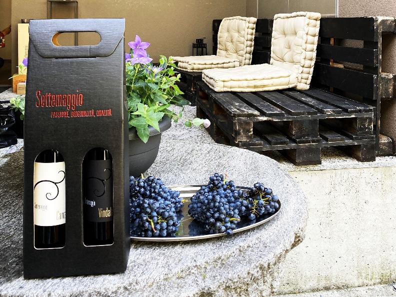 Image 9 - Cave vinicole Settemaggio	