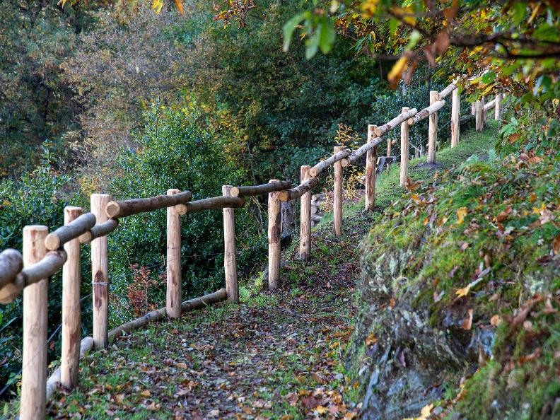 Image 0 - Via dei briganti - boschi del Monte Ceneri Image 0 - Via dei briganti - boschi del Monte Ceneri
