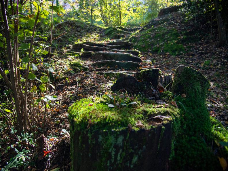 Image 1 - Via dei briganti - boschi del Monte Ceneri