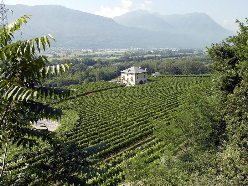 Image 1 - Schlafen im Tessiner Weinberg