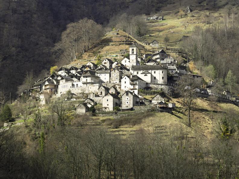 Image 4 - Agriesperienza - La Colombera