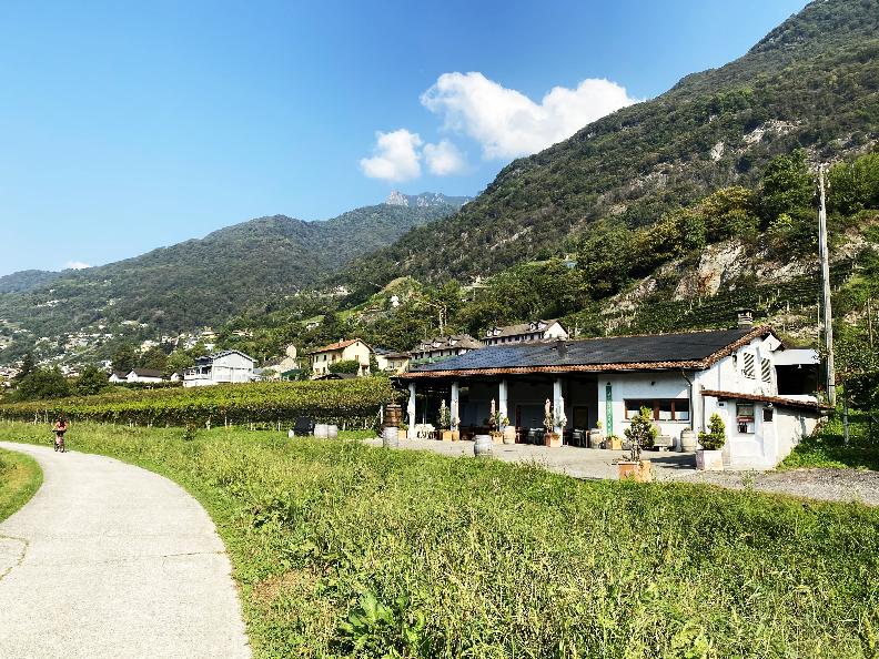 Image 4 - Cantina Pian Marnino