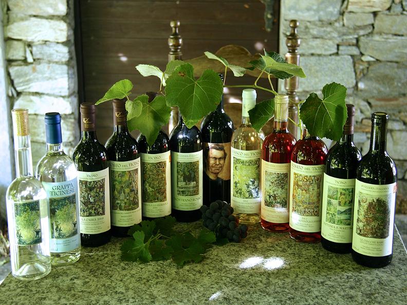 Image 0 - Azienda vitivinicola “La Segrisola” Image 0 - Azienda vitivinicola “La Segrisola”