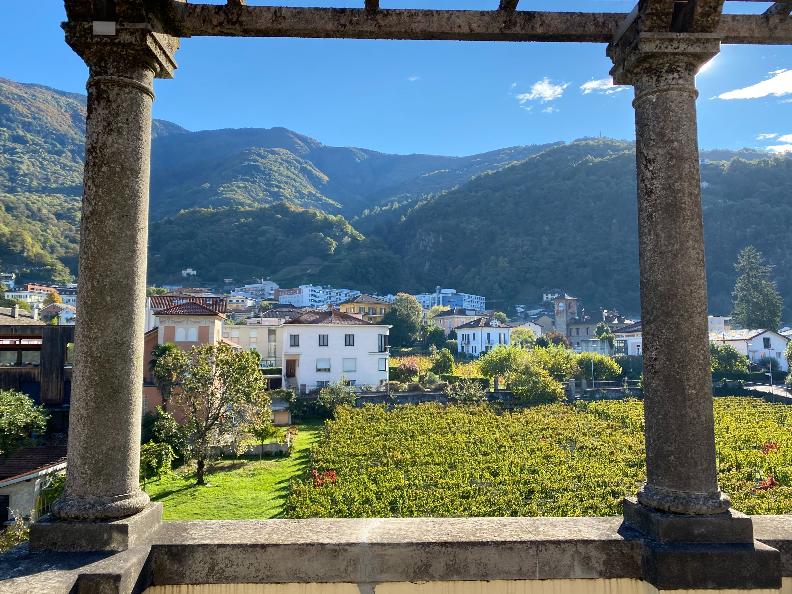 Image 8 - Museo Villa dei Cedri
