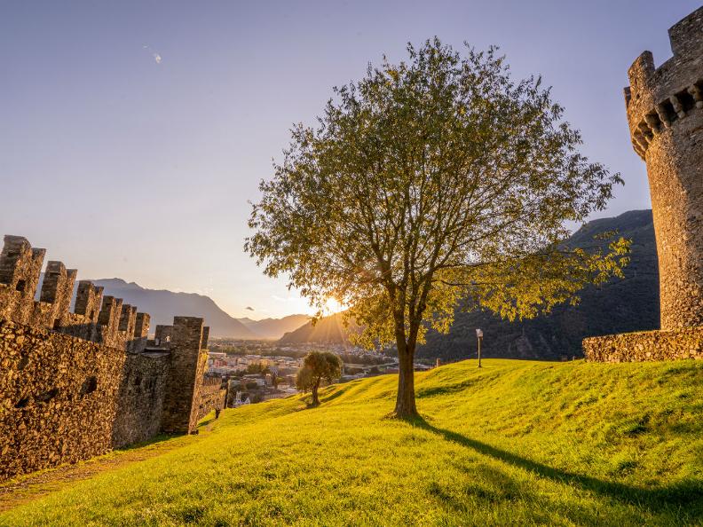 Image 3 - The Castle of Montebello