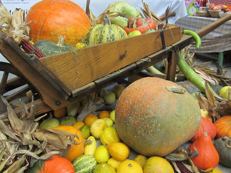 Image 1 - Crema di zucca - La ricetta