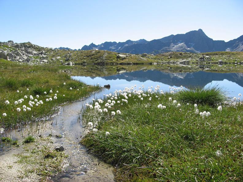 Image 2 - Laghetto delle Pigne