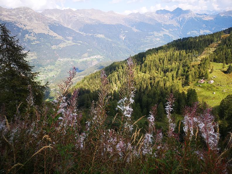 Image 14 - Laghetti di Tremorgio e Leìt