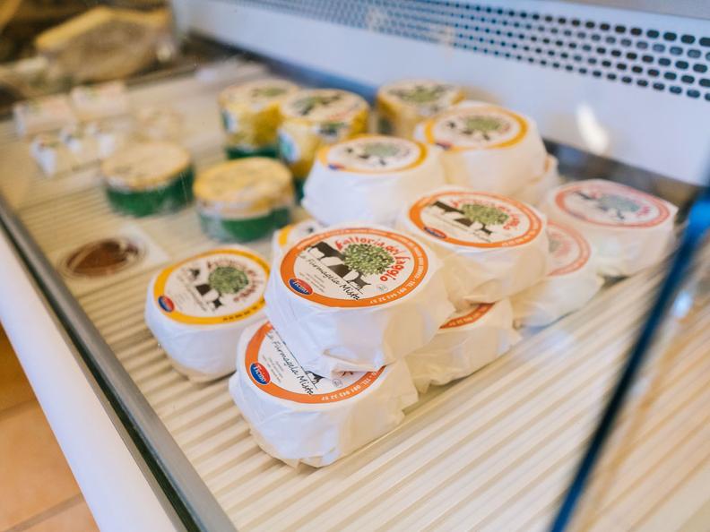 Image 4 - Cheeses of Ticino