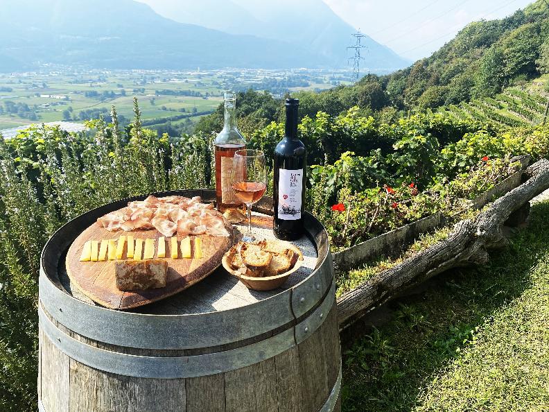 Image 8 - Azienda vinicola Mondò