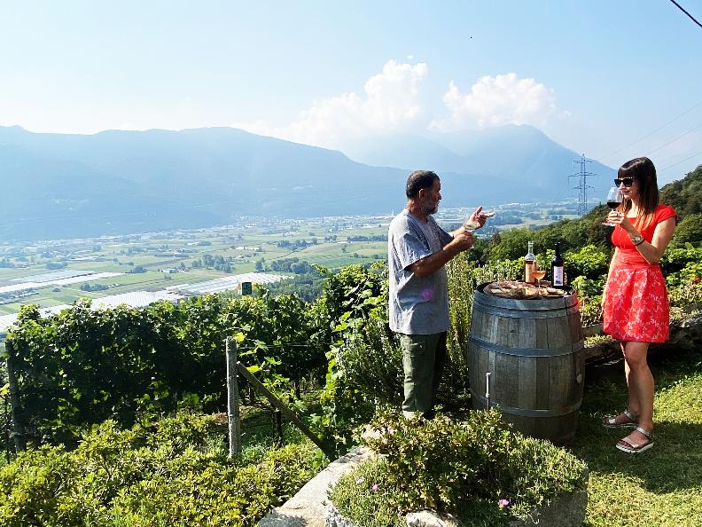 Image 5 - Azienda vinicola Mondò
