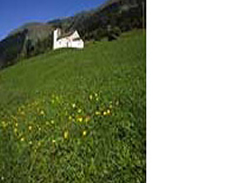 Image 4 - Oratorio di S. Martino
