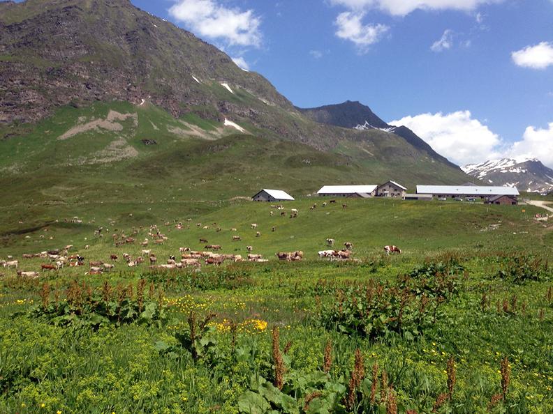 Image 7 - Alpe Piora