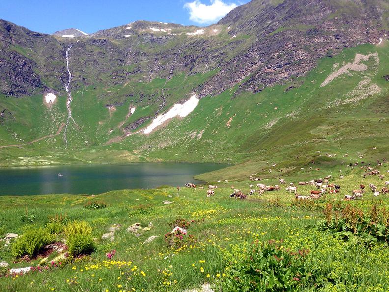 Image 1 - Alpe Piora