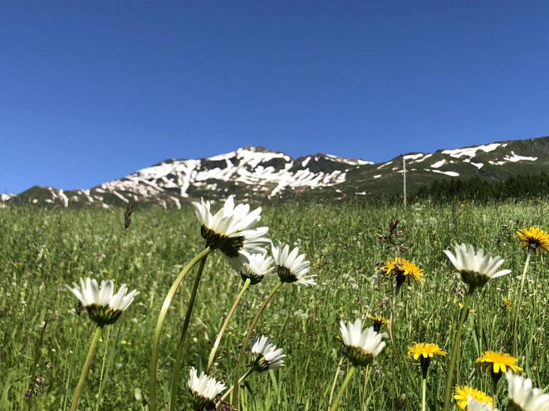 Image 3 - Campo Blenio