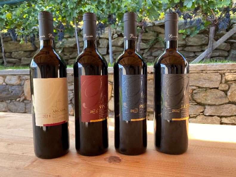 Image 3 - Cantina Vitivinicola Pizzorin