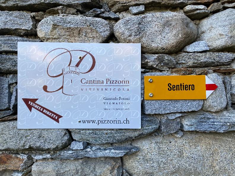 Image 6 - Cantina Vitivinicola Pizzorin