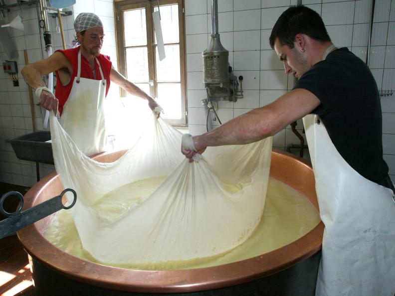 Image 1 - Cheese! Do it yourself