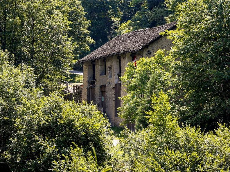 Image 1 - Visit to the Faido Sawmill and the Piumogna Waterfall
