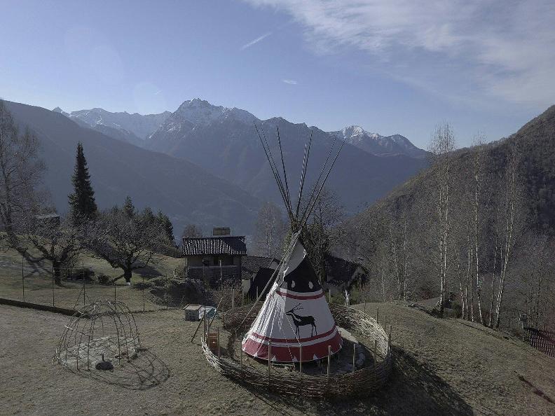 Image 2 - Campotecha