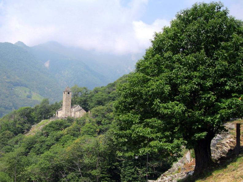 Image 1 - San Bernardo a Monte Carasso