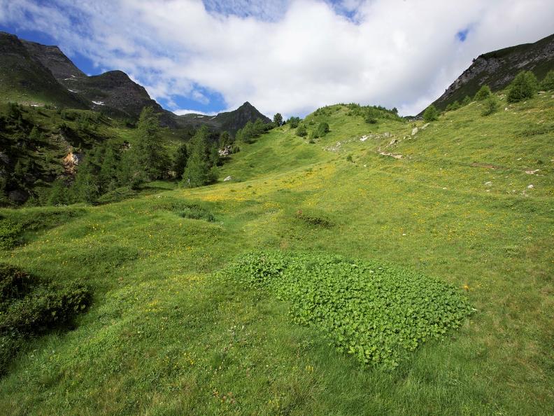 Image 3 - La strada dei formaggi del Lucomagno