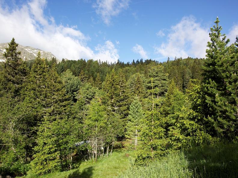 Image 17 - La strada dei formaggi del Lucomagno