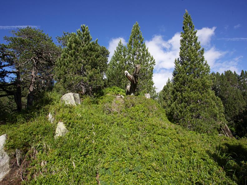 Image 18 - La strada dei formaggi del Lucomagno