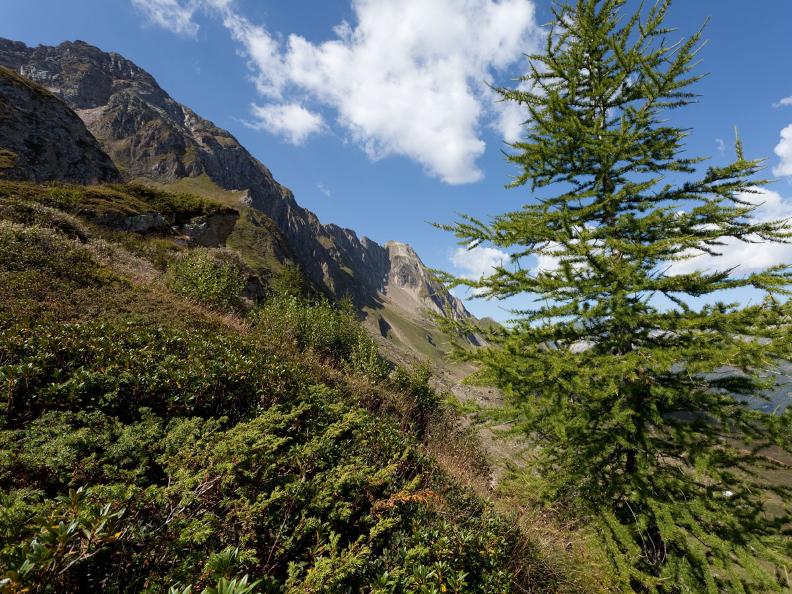 Image 3 - Sentiero Cristallina Etape 3 : Cap. Cristallina - Airolo