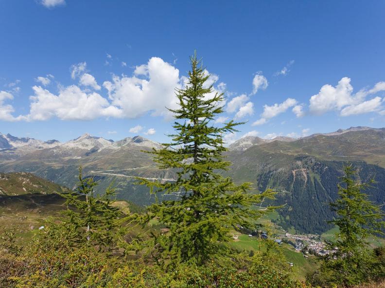 Image 4 - Sentiero Cristallina Etape 3 : Cap. Cristallina - Airolo