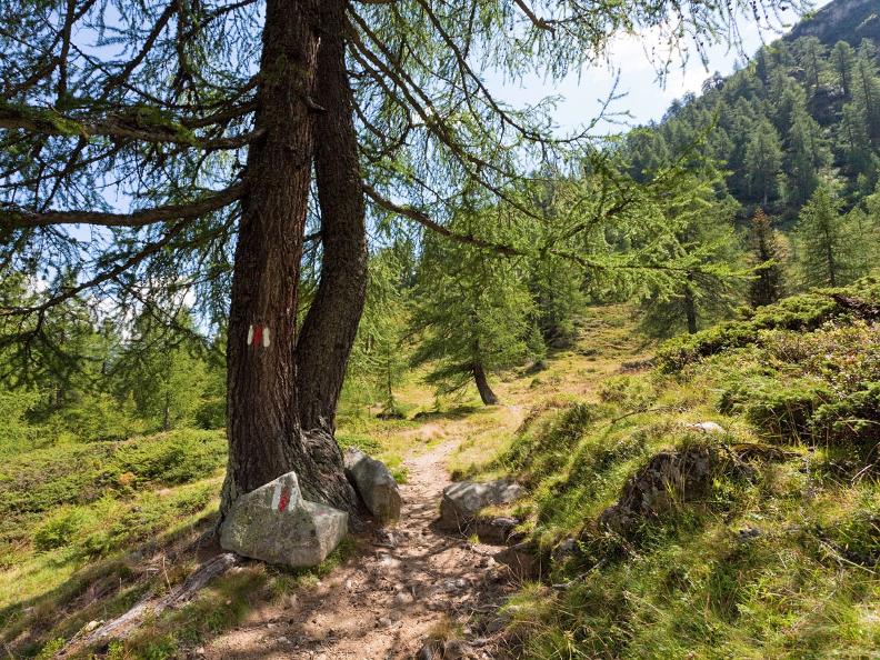 Image 5 - Sentiero Cristallina Etape 3 : Cap. Cristallina - Airolo