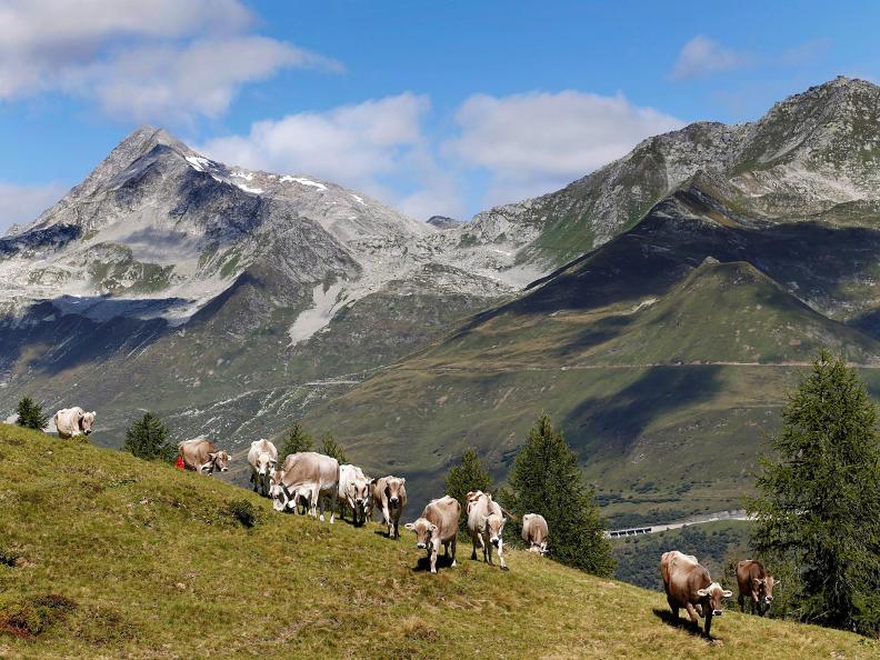 Image 12 - Sentiero Cristallina Etape 3 : Cap. Cristallina - Airolo