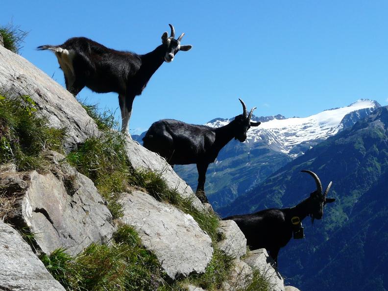 Image 2 - Nara Alpen Rundtour