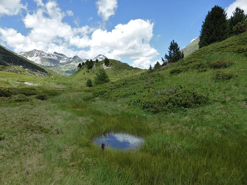 Image 2 - Alpi del Lucomagno