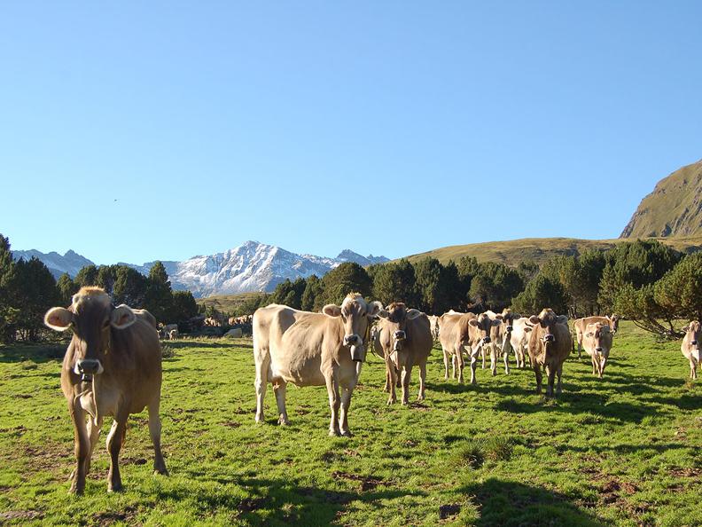Image 5 - Alpi del Lucomagno