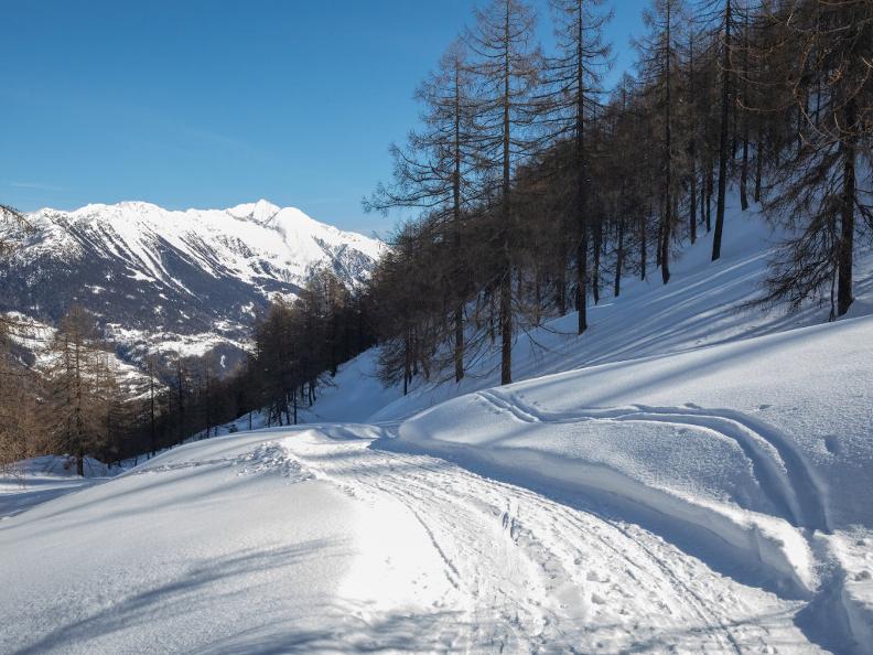 Image 3 - Sentiero invernale Nante-Alpe Nuova