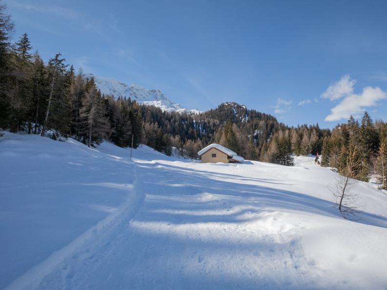 Image 4 - Sentiero invernale Nante-Alpe Nuova
