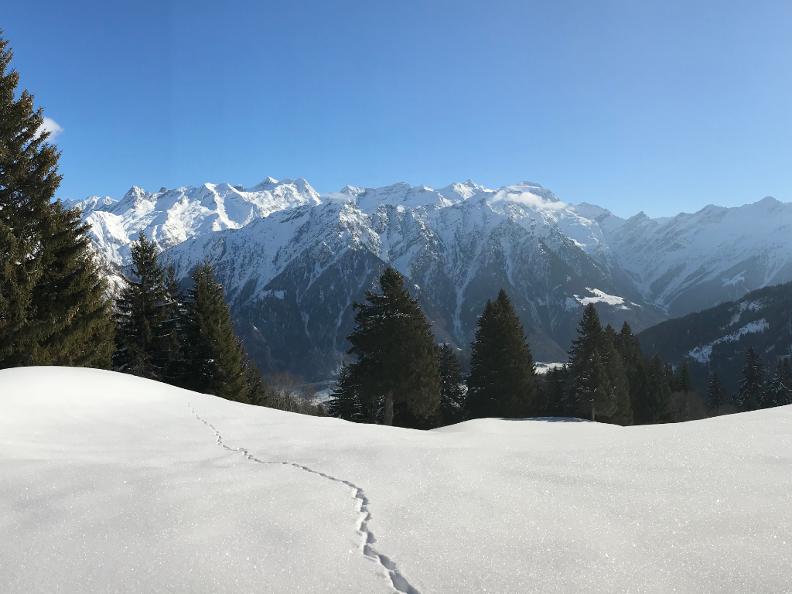 Image 1 - Sentiero invernale Stradunèt Piera-Dötra