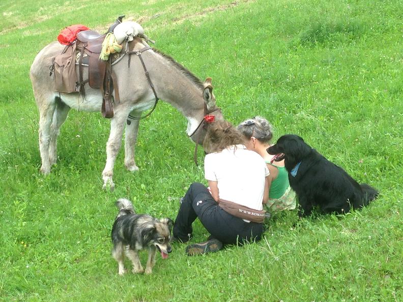 Image 1 - Kulinarische Entdeckungsreise mit Langohren