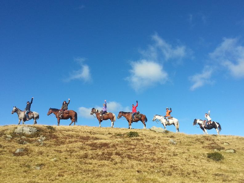 Image 2 - Randonnées à cheval sur l'alpage